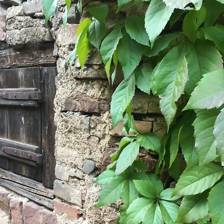 Gite Spacieux Et Cosy A La Campagne Proche De Strasbourg Achenheim Exteriér fotografie