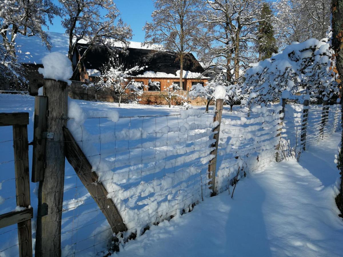 Gite Spacieux Et Cosy A La Campagne Proche De Strasbourg Achenheim Exteriér fotografie