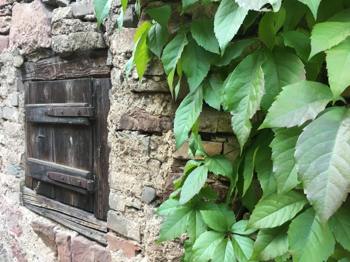 Gite Spacieux Et Cosy A La Campagne Proche De Strasbourg Achenheim Exteriér fotografie