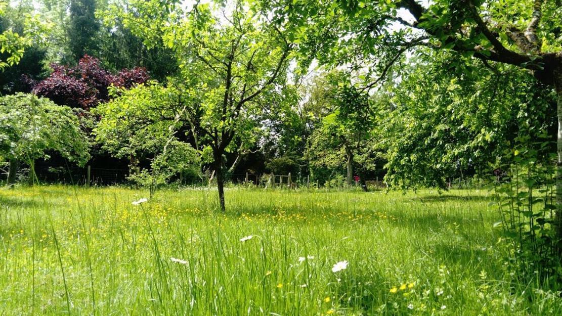 Gite Spacieux Et Cosy A La Campagne Proche De Strasbourg Achenheim Exteriér fotografie
